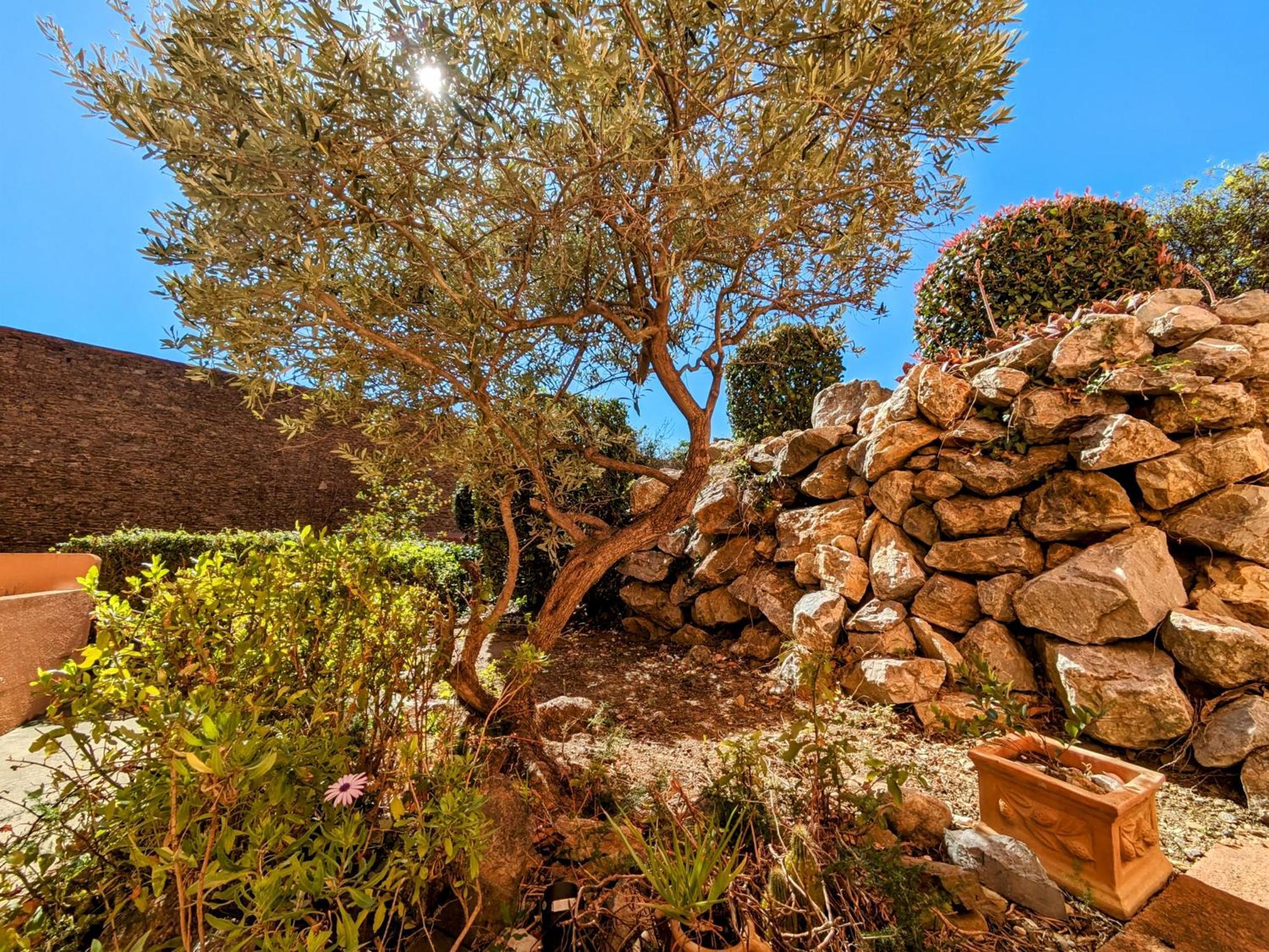 Appartement Central Avec Parking, Terrasse Et Wifi Collioure Exterior photo